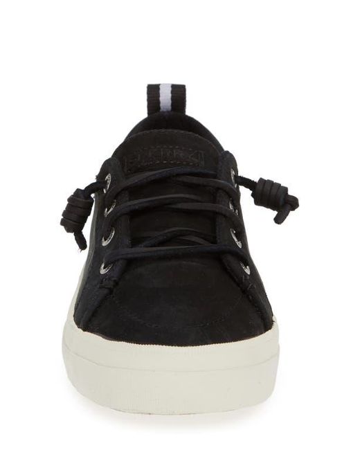 Sperry Top-Sider Black Crest Vibe Slip-On Sneaker