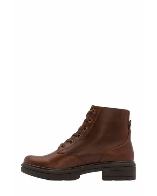 ABEO Brown Vista Lace Boot