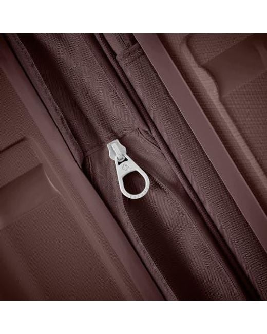 Samsonite Brown Outline Pro Medium Spinner