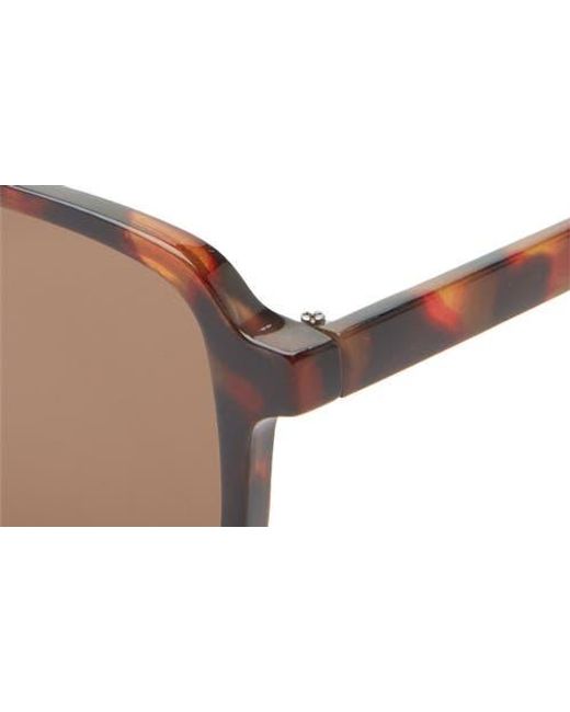 BP. Brown Aviator Sunglasses