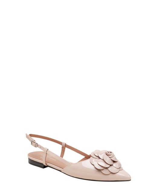 Linea Paolo Natural Cammy Slingback Pointed Toe Flat