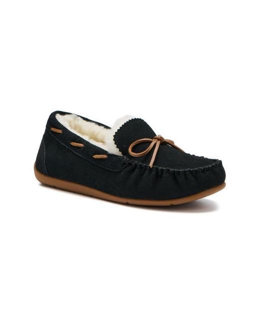 ABEO Black Amble Bow Slipper