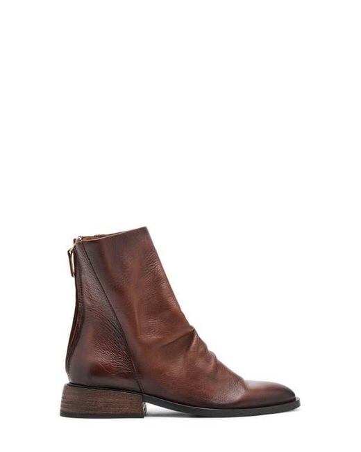 Steve Madden Brown Nexie Bootie