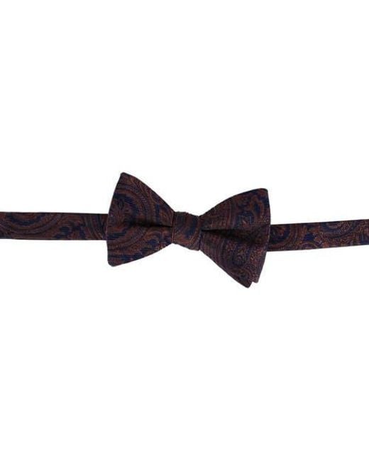 trafalgar bow ties