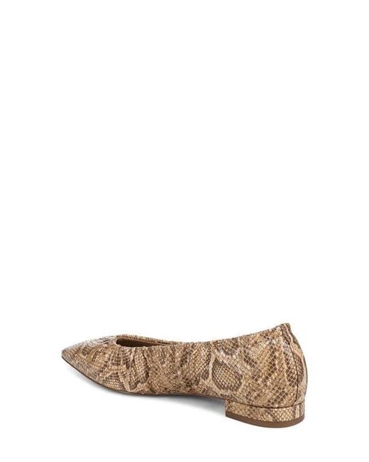 Sam Edelman Brown Essex Pointed Toe Flat