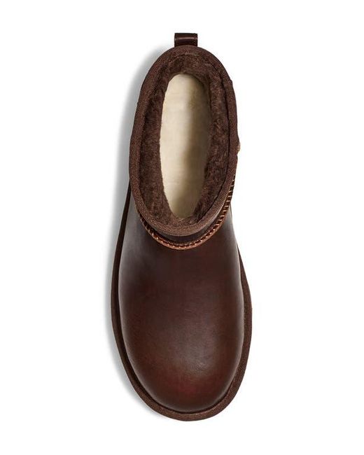 Ugg Brown Classic Ultra Mini Regen Boot for men