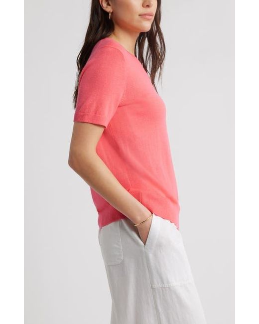 Caslon Red Short Sleeve Merino Wool Blend Crewneck Sweater