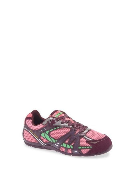 Marc Jacobs Purple The 72 Spring Sneaker