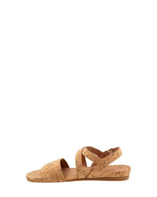 Softwalk® Brown Cali Sandal