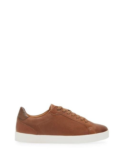 Nordstrom Brown Tyson Low Top Sneaker for men