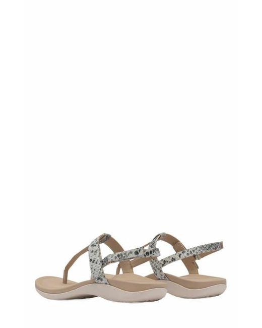 ABEO Metallic Oasis T Strap Sandal