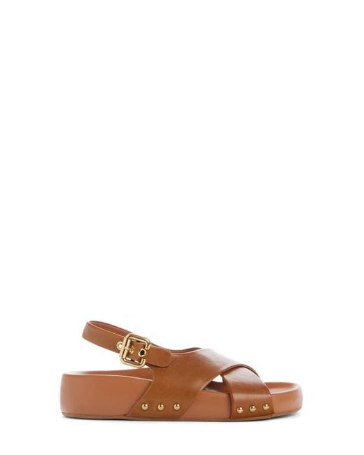 Chloé Brown Mae Paddington Sandal