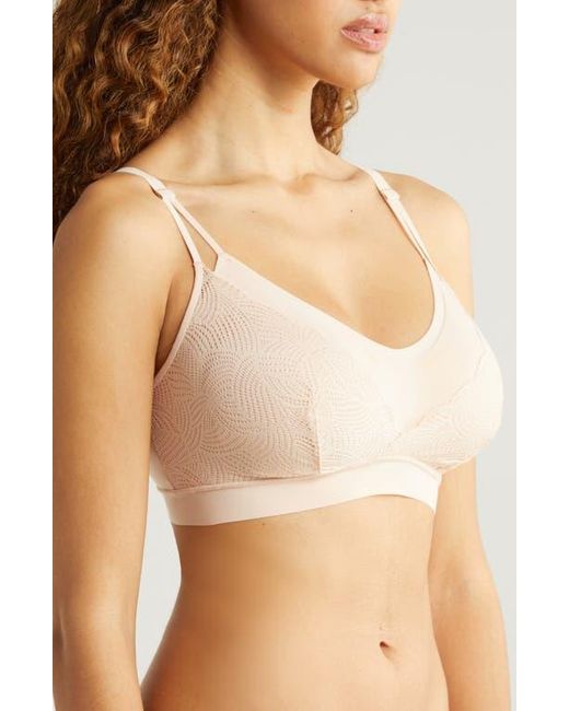 Chantelle Brown Soft Stretch Lace Bralette