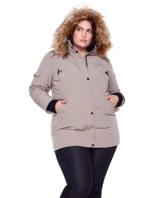 Alpine North Gray Glacier Plus Size