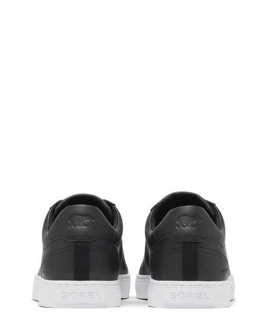 Sorel Black Cyprus Wp Sneaker for men