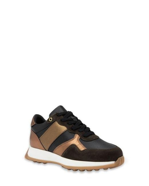 Naot Black Sunset Sneaker