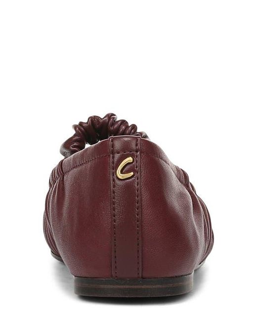 Circus by Sam Edelman Red Blythe Flat