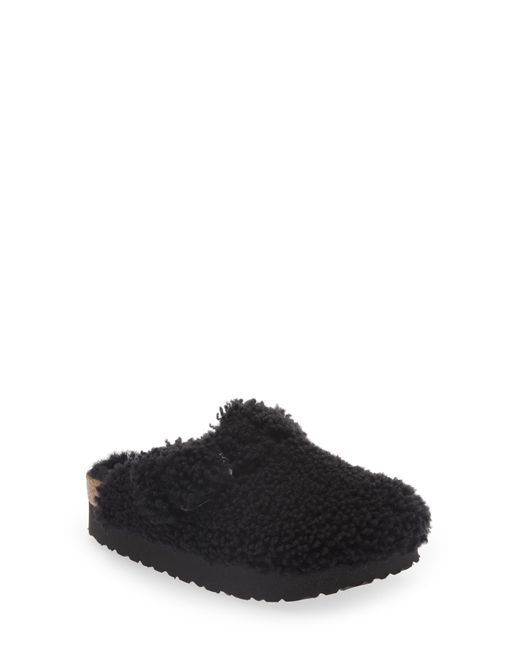 papillio boston big buckle clogs in teddy