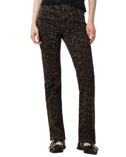 AllSaints Black Haldan Leopard Print Slim Bootcut Jeans