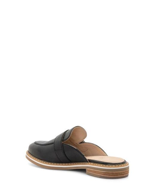 Ara Black Kona Mule
