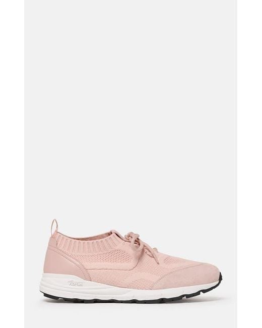 Scarosso Pink Robin Sneakers