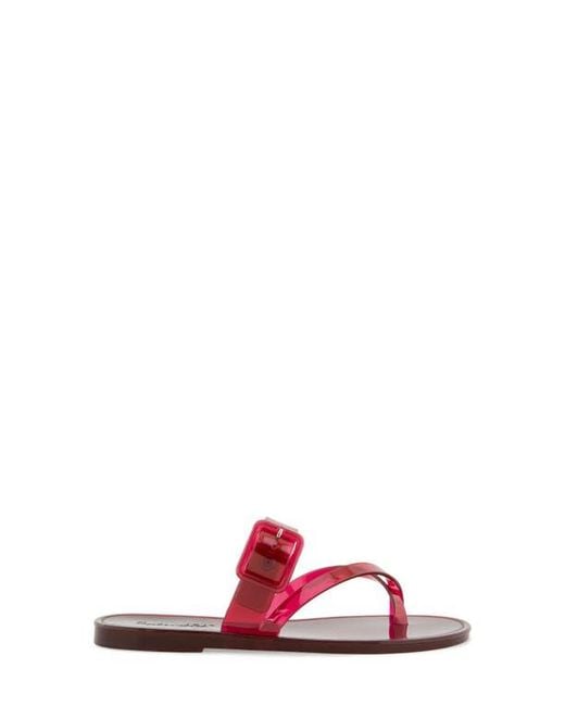 Splendid Pink Sutton Jelly Sandal