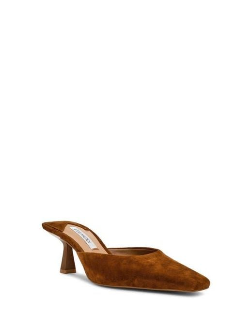 Steve Madden Brown Alyse Mule