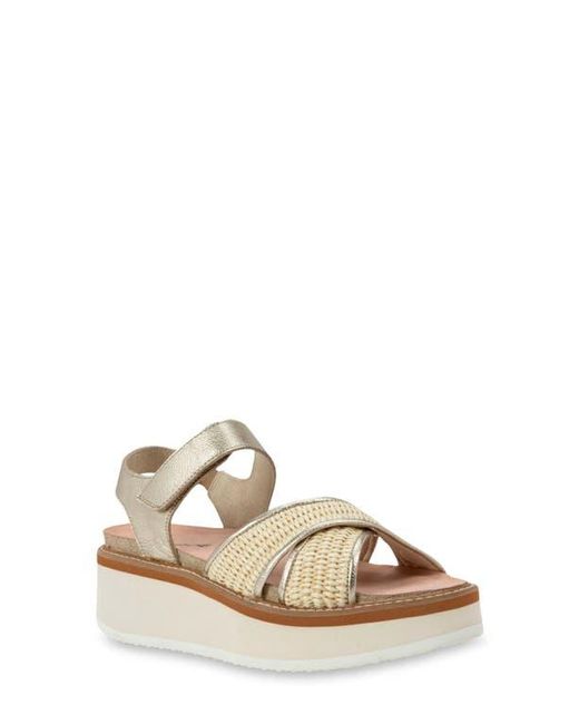 Naot Women's Natural Pavlova Platform Sandal