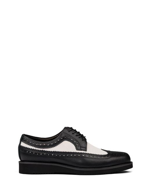 MARC NOLAN Black Alexander Wingtip Derby for men