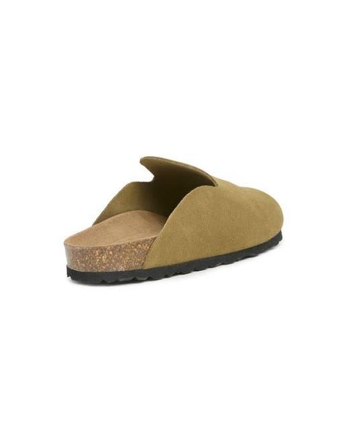 Celtic & Co. Green Minimal Clog
