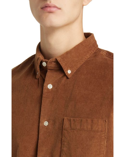 Nordstrom Brown Tech-smart Trim Fit Stretch Cotton Button-down Shirt for men