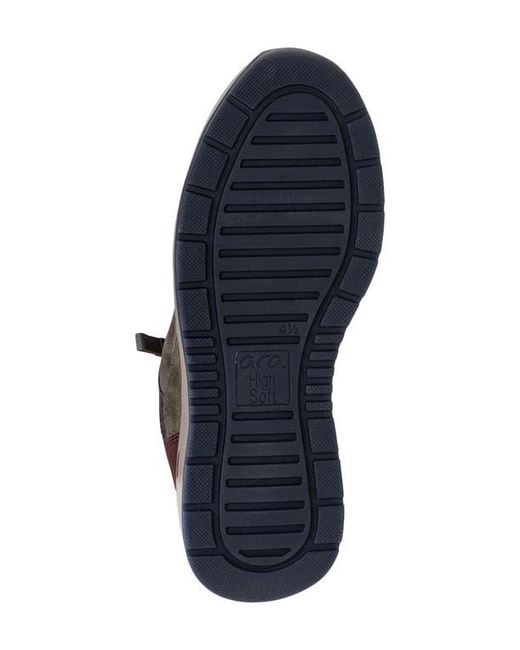 Ara Brown Gardenia Sneaker