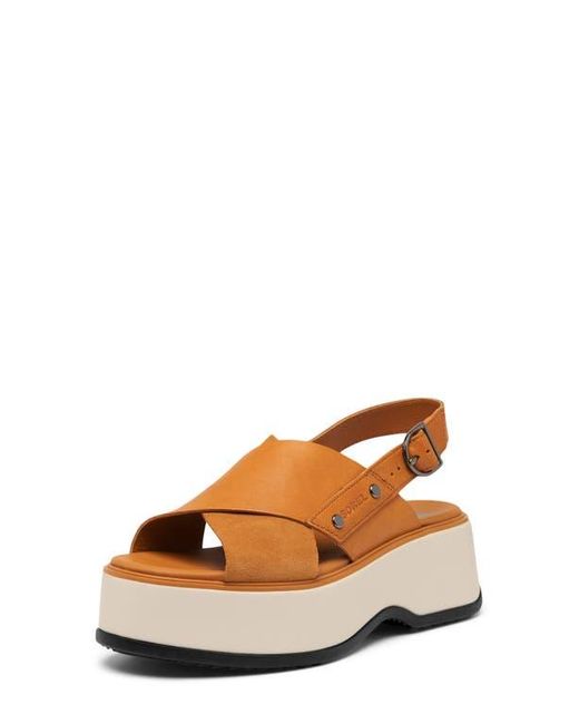 Sorel Brown Dayspring Crisscross Sandal