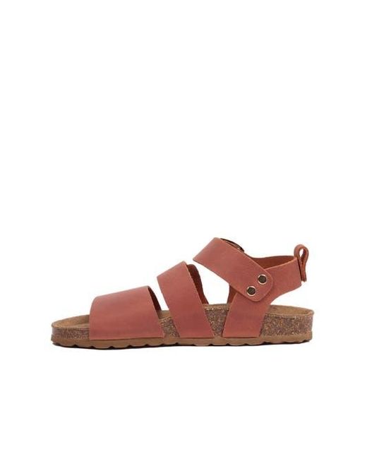 Celtic & Co. Brown Triple Strap Sandal