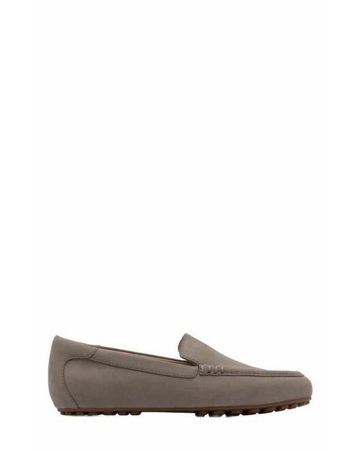 ABEO Brown Harbor Loafer