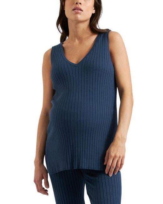 Ripe Maternity Blue Sophie Rib Knit Nursing Top
