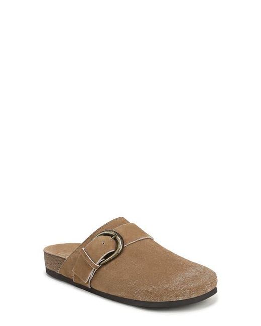 Sam Edelman Brown Alyce Mule
