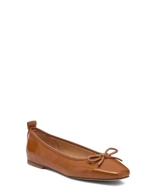 Kelsi Dagger Brooklyn Brown Frankie Flat