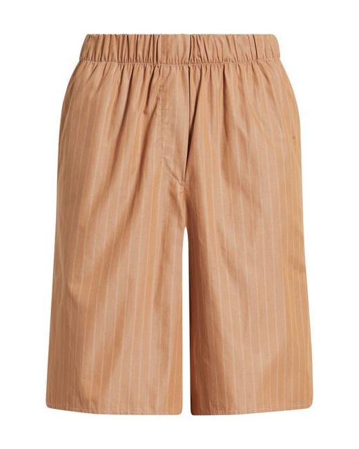 CISSA Brown Knee Length Shorts