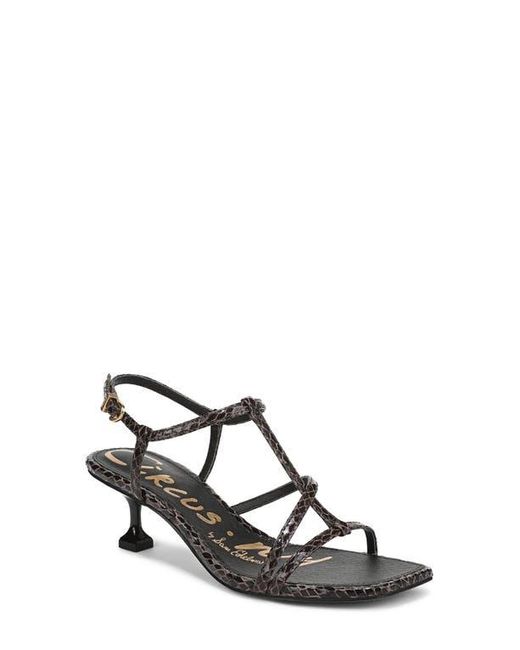 Circus by Sam Edelman Black Jaida Snakeskin Embossed Strappy Sandal