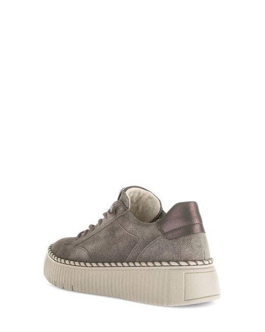 Gabor Brown Low Top Sneaker