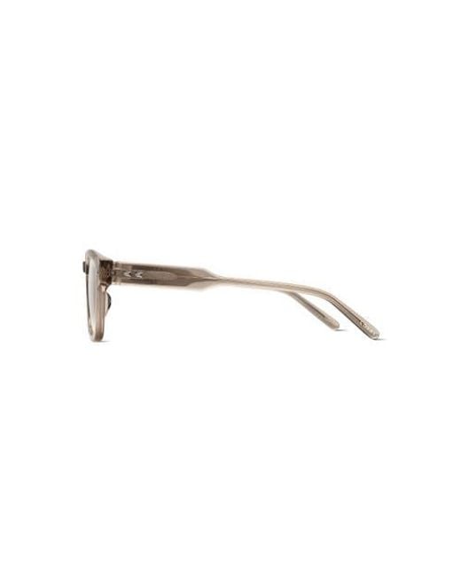 COVRY Brown Aster Light Blocking Glasses