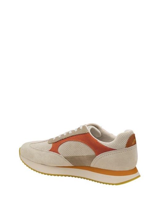 Johnston & Murphy Brown Chase Perforated Sneaker for men