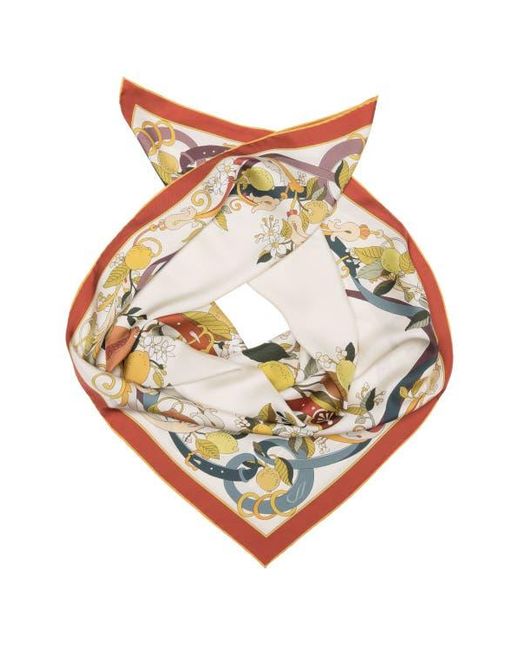 Elizabetta White Anthea