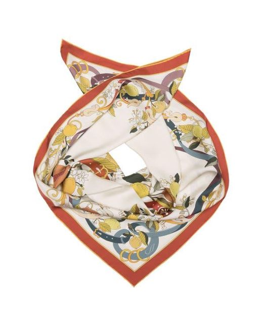 Elizabetta White Anthea