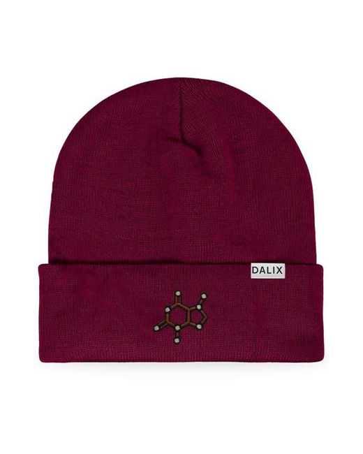 Alix Red Molecule Beanie for men