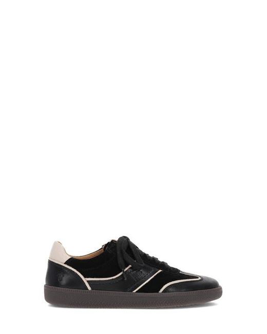 Frye Black Milly Low Top Sneaker