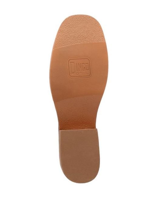 Dingo Brown Dutton Tall Boot for men