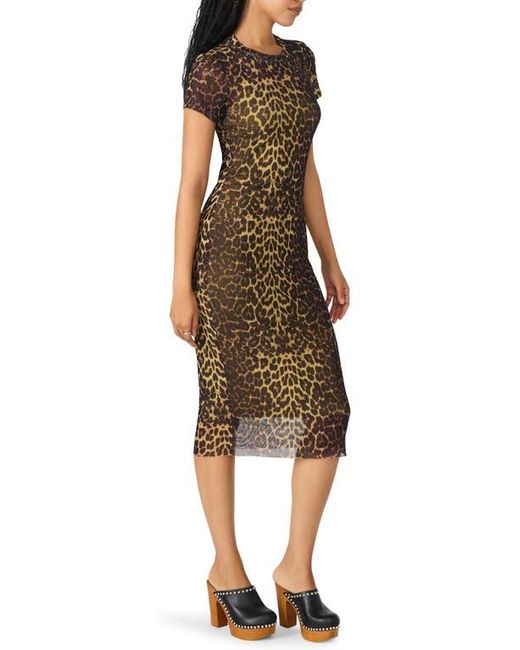 Steve Madden Brown Hailee Print Dress