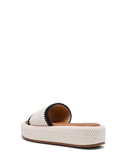Steve Madden Multicolor Beachy Platform Sandal
